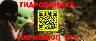 мяу мяу мука Моздок