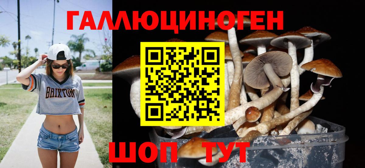 Шарыпово  Галлюциногенные грибы GOLDEN TEACHER  Вход с VPN 