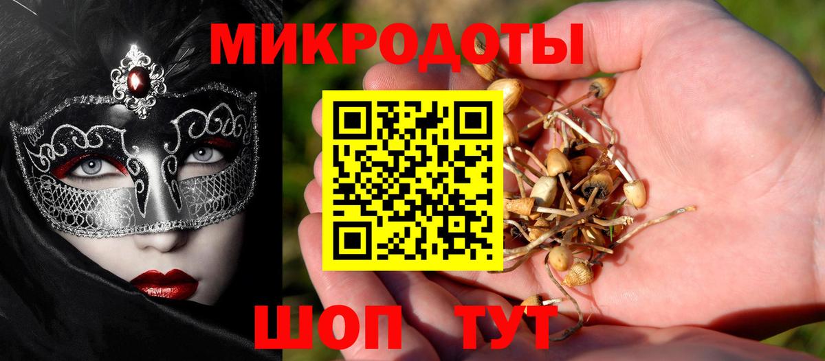 ГАШ Шарыпово